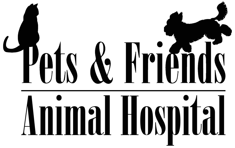 Veterinarian in Pueblo | Pet & Friends